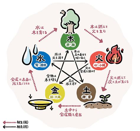 五行分類表|【漢方基礎知識】中医学の基礎となる哲学「五行学説。